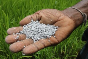 La guerra encarece los fertilizantes y evidencia la dependencia estratégica