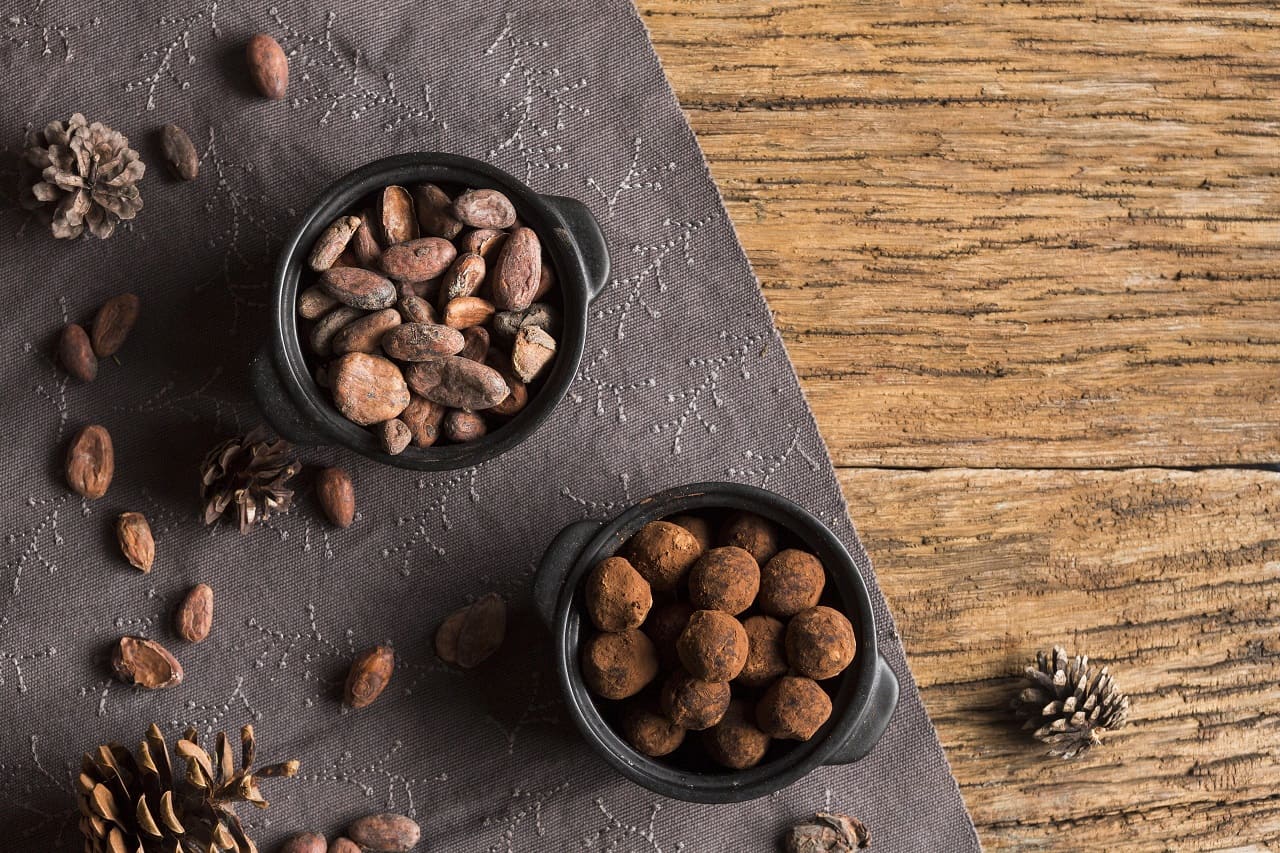 Cacao serÃ¡ producido con cultivo celular por Ayana Bio - THE FOOD TECH
