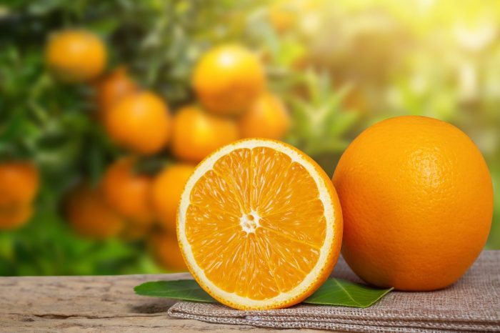 naranja-ingredientes-botánicos