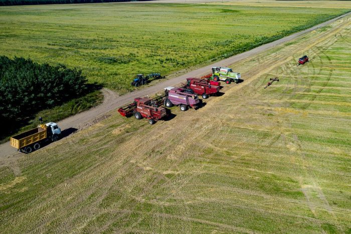 prohibición de pesticidas belarus-july-2020-combine-harvesters-middle-field-preparing-harvesting-top-view