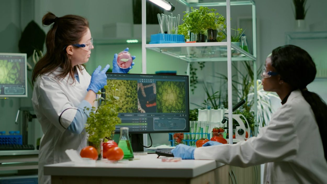 La importancia de la Agrocalidad para la inocuidad de los alimentos