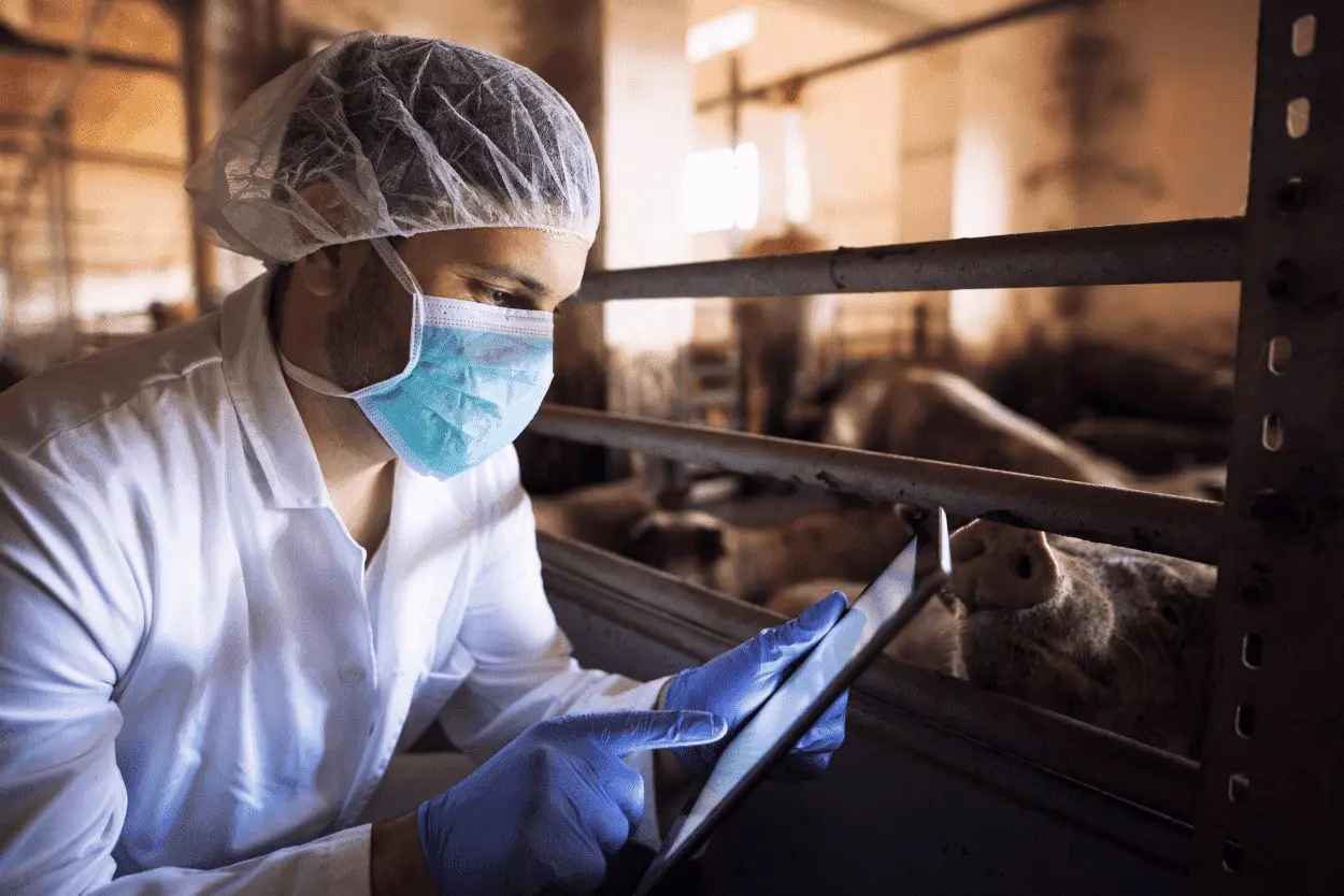 Cómo garantizar la inocuidad de los productos cárnicos