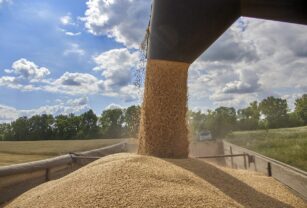 La FAO ve "absolutamente crítico" el poder prorrogar el pacto del cereal ucraniano