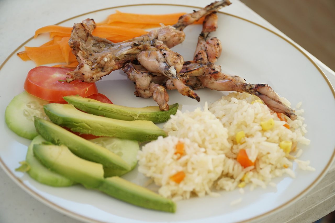 Las ranas experimentan auge gastronómico en sur de México ante la Cuaresma