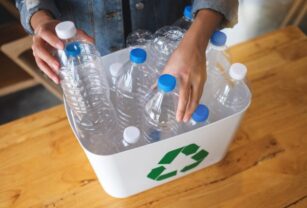 Botellas de plástico recicladas, la estrategia del momento - THE FOOD TECH  - Medio de noticias líder en la Industria de Alimentos y Bebidas
