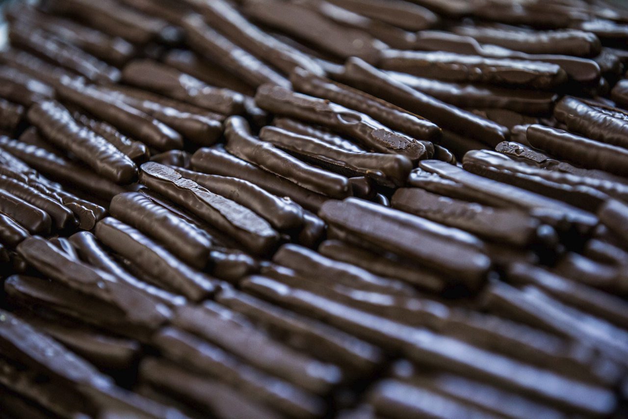 Un tentempié diario con alto contenido en grasa y azúcar modula el cerebro