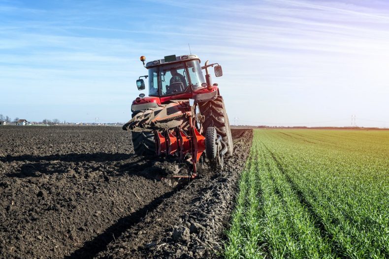 campo-cultivo-sector-agricola-tractor