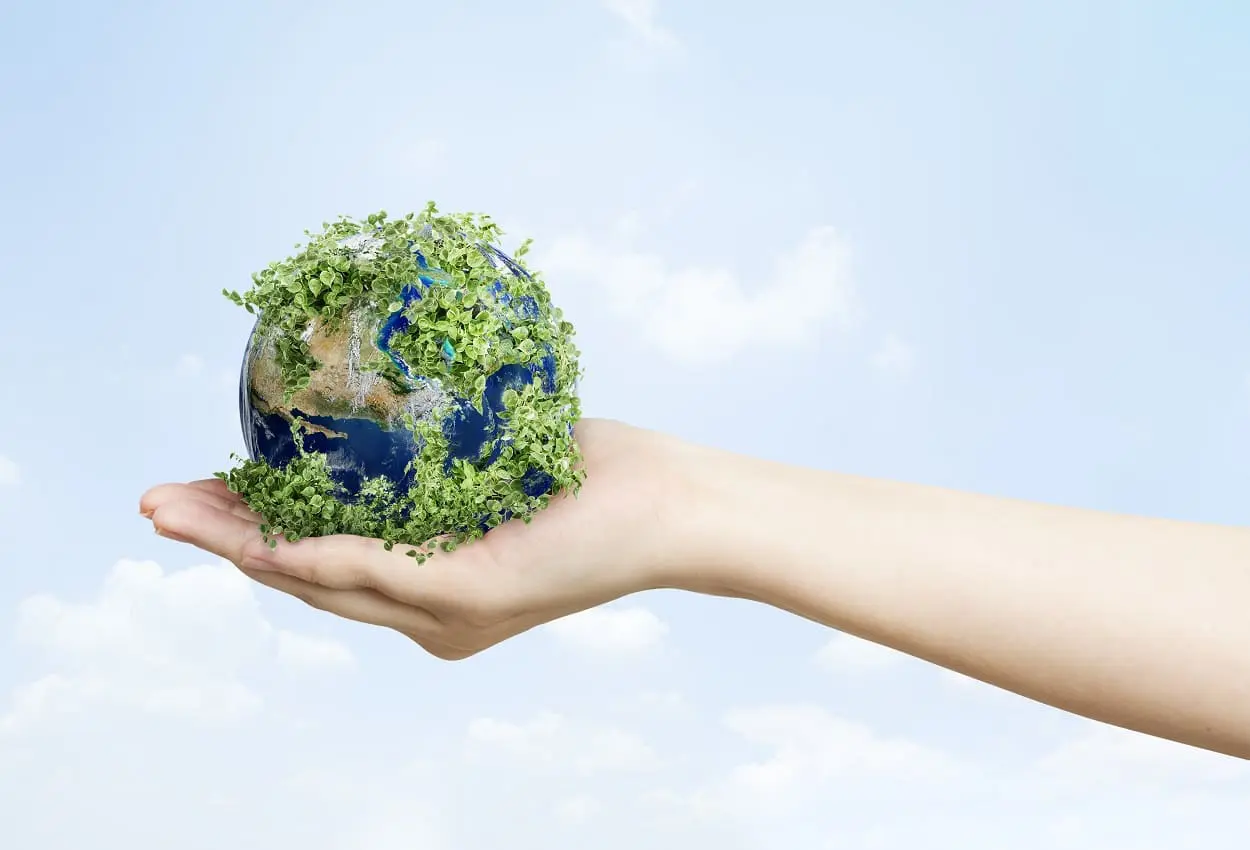 Economía regenerativa: clave para reducir el cambio climático