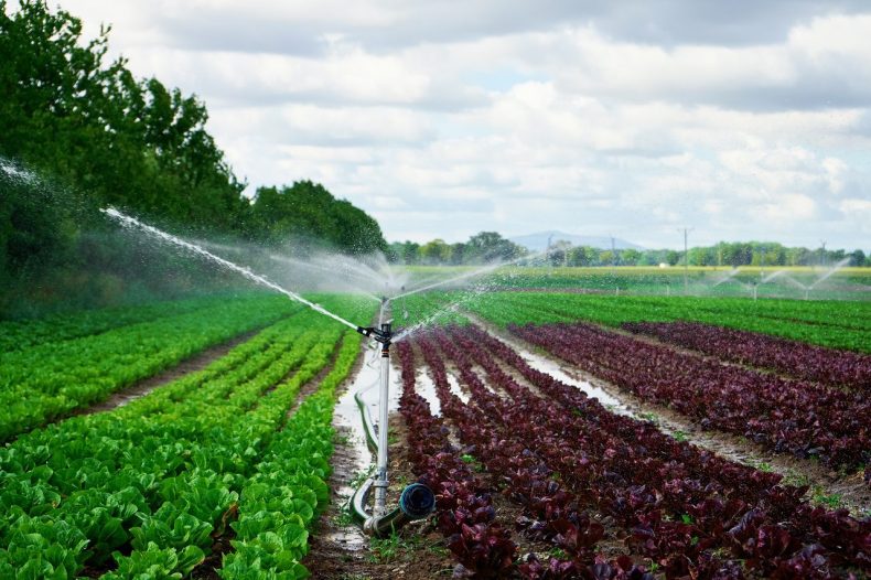 uso-del-agua-sector-agroalimentario