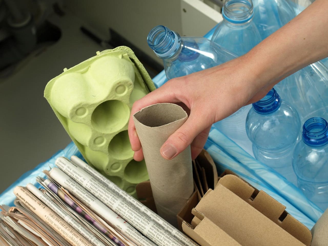 Claves del ecodiseño sustentable para llegar a la economía circular