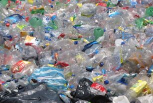 Ecuador lanza su plataforma de acción para reducir contaminación de plásticos