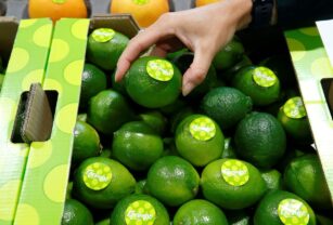 Greenpeace denuncia pesticidas vetados en UE en limas procedentes de Brasil