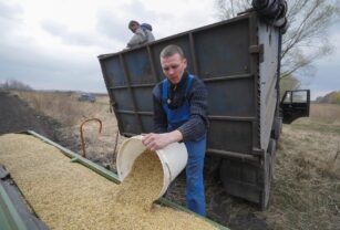 La siembra en Ucrania gana ritmo pese a la situación del corredor del grano