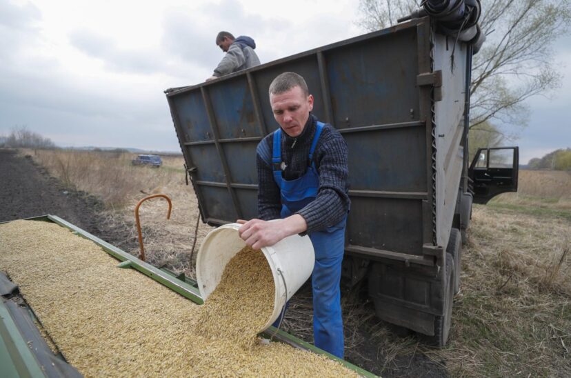 La siembra en Ucrania gana ritmo pese a la situación del corredor del grano