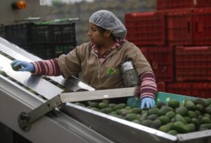 México producirá más de 301,3 millones de toneladas de alimentos en 2023