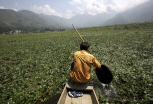 ONU: el cambio climático en Asia afectó a la inseguridad alimentaria en 2022