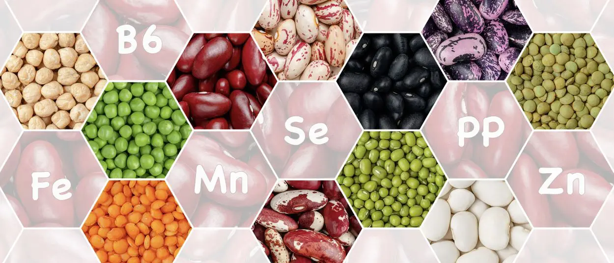 Aminoácidos limitantes en las legumbres: ¿qué son? y su papel en la absorción de proteínas