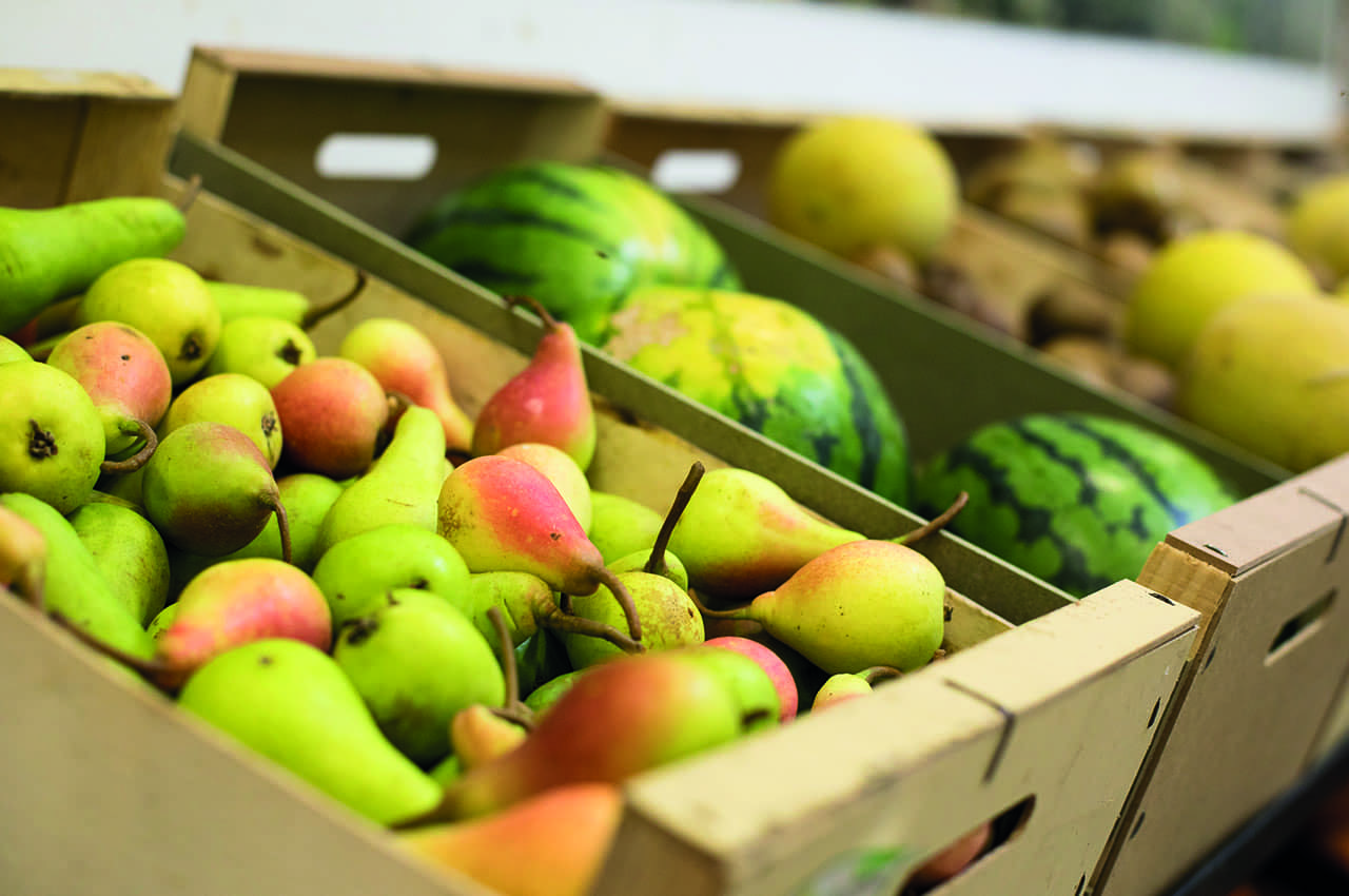 Codex y la regulación de frutas y hortalizas: Asegurando la calidad y nutrición