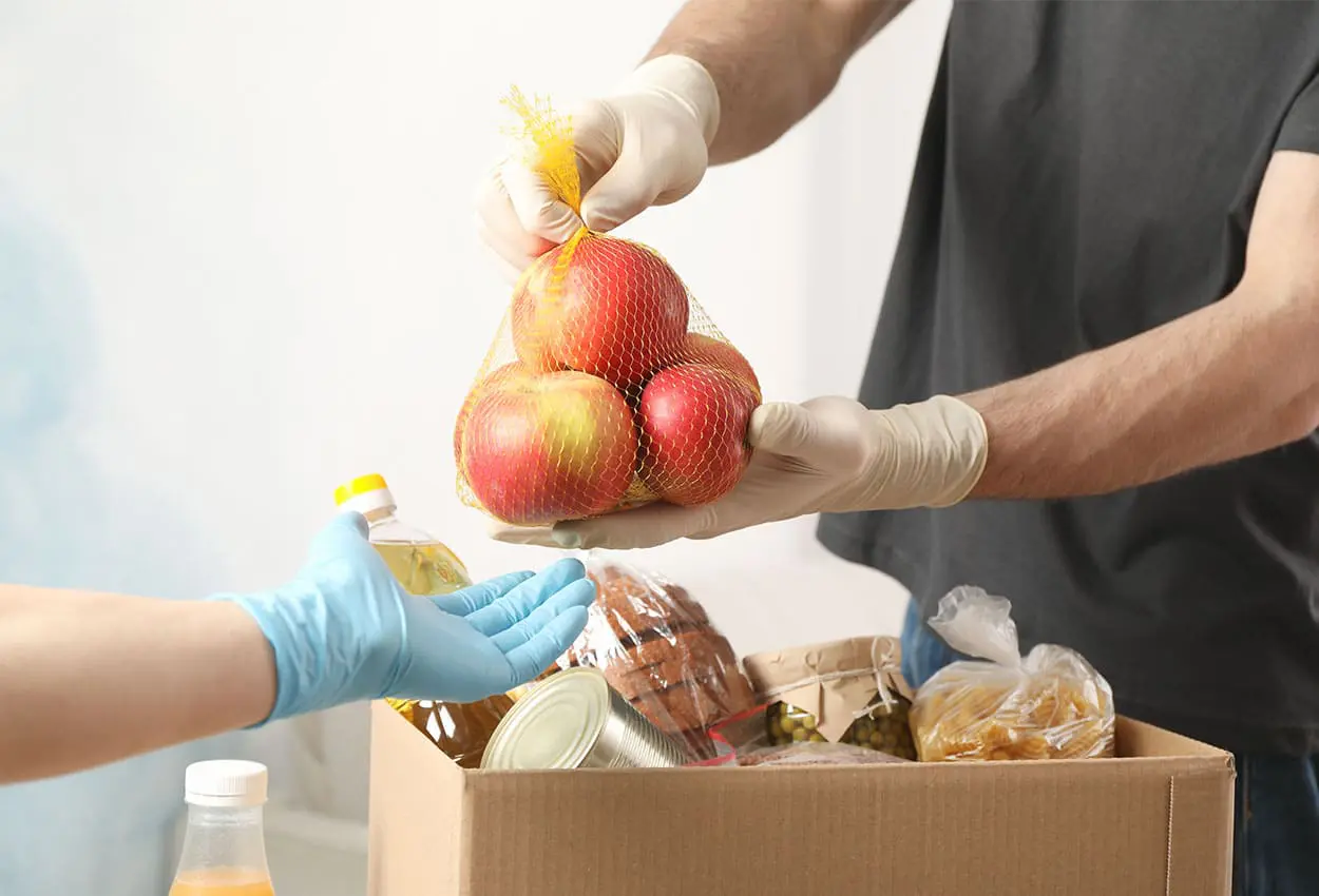 FAO busca nuevos proyectos que solucionen la inseguridad alimentaria