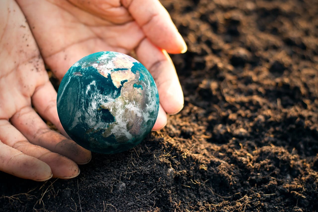 Día Mundial de la Tierra: cómo protegerla desde la industria del vino