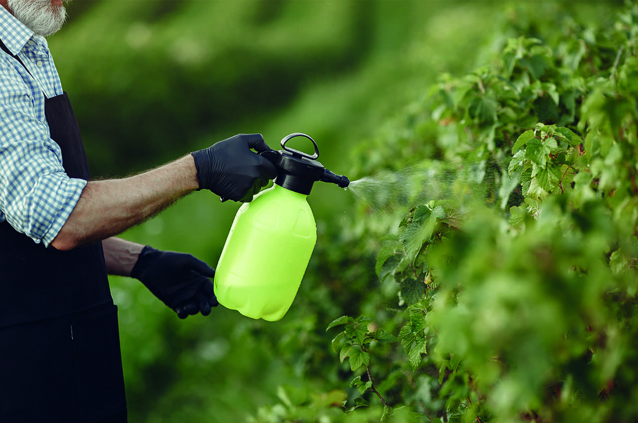 Alternativas al glifosato son un beneficio para la biodiversidad