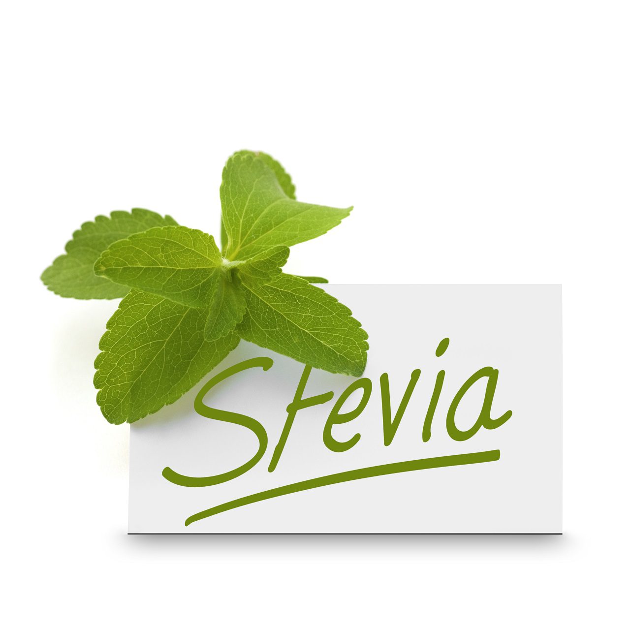 Innovaciones en productos endulzados con Stevia: más allá de bebidas y snacks