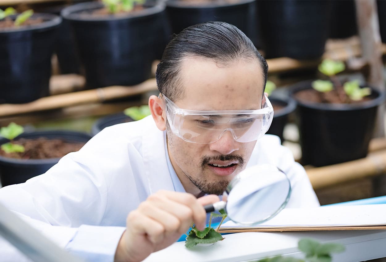 Startups impulsan proyectos para la alimentación del futuro