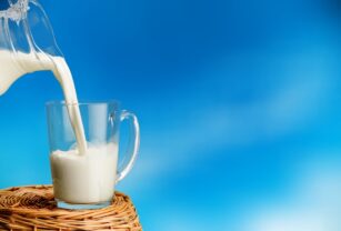 La leche es considerada uno de los alimentos más completos que existen