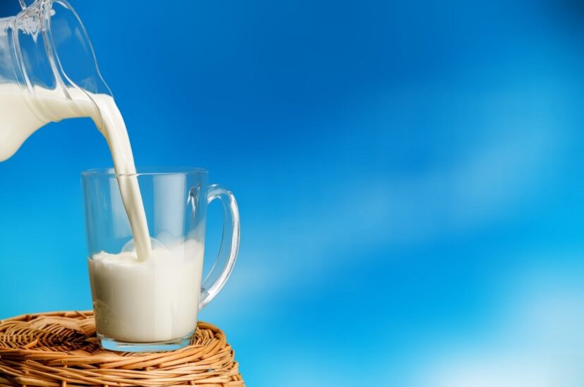 La leche es considerada uno de los alimentos más completos que existen