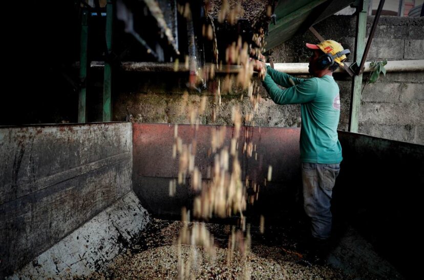 El Gobierno brasileño prevé un crecimiento del 7,5 % de la producción de café en 2023