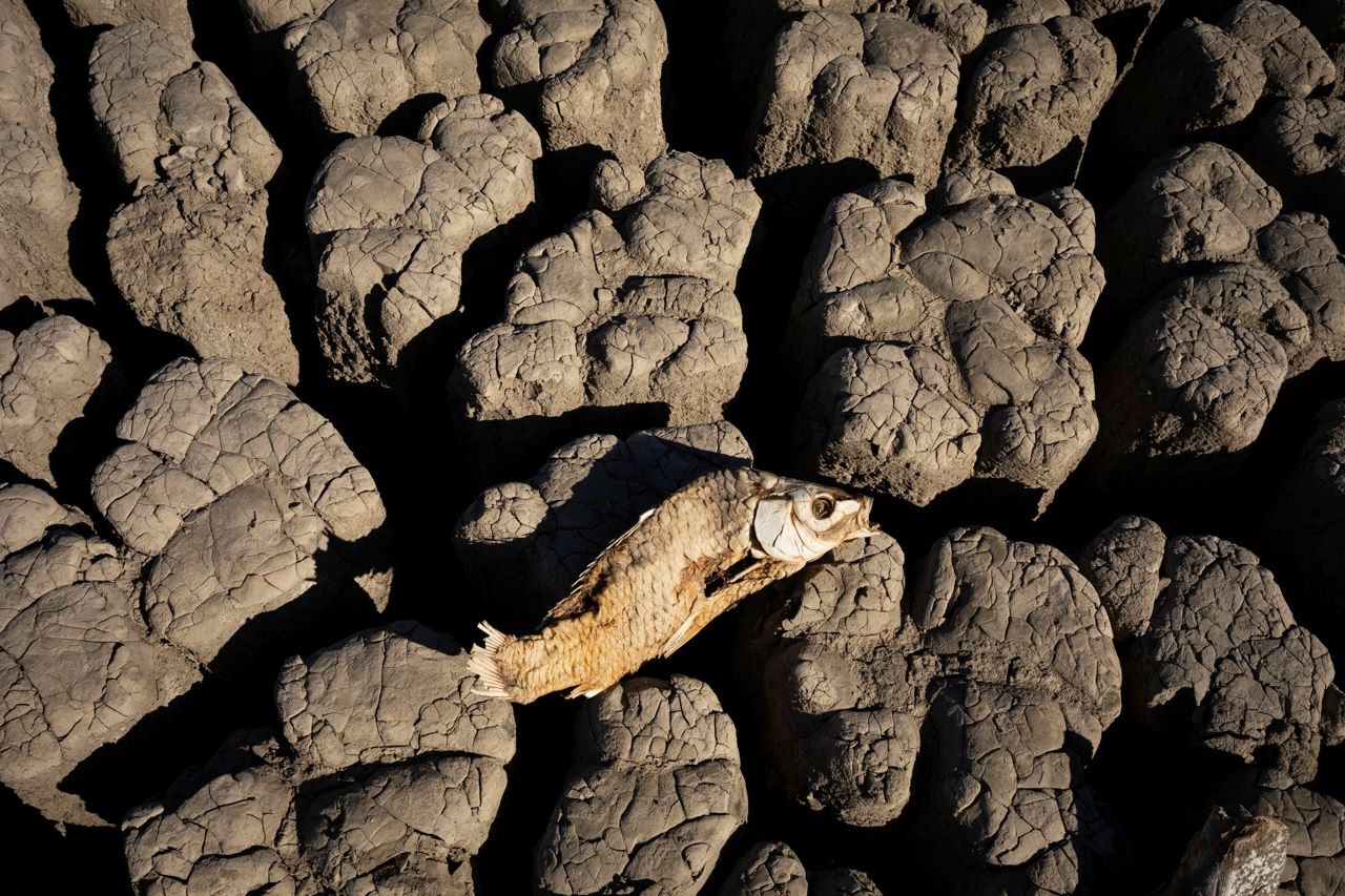 El hambre aumentará en 22 países en los próximos meses, alertan la FAO y el PMA