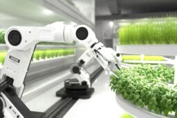 Inteligencia artificial alimentaria