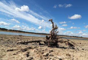 Portugal declara la situación de sequía severa y extrema en cerca del 40 % del territorio