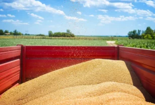 Rusia advierte de que se complica el cumplimiento del acuerdo del grano