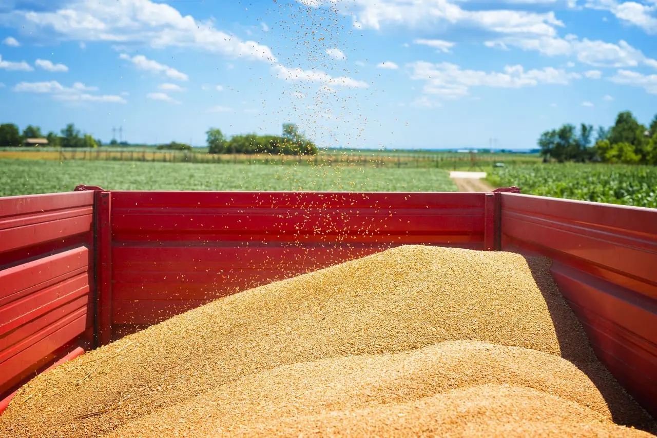 Rusia advierte de que se complica el cumplimiento del acuerdo del grano