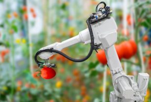 agricultores-roboticos-inteligente