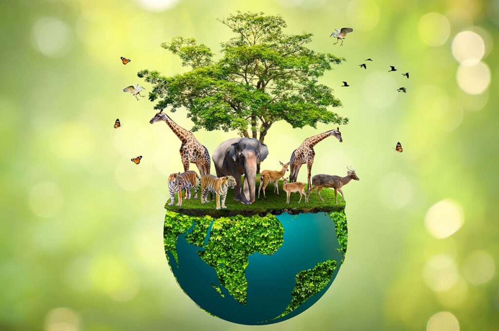 cuidar de la biodiversidad