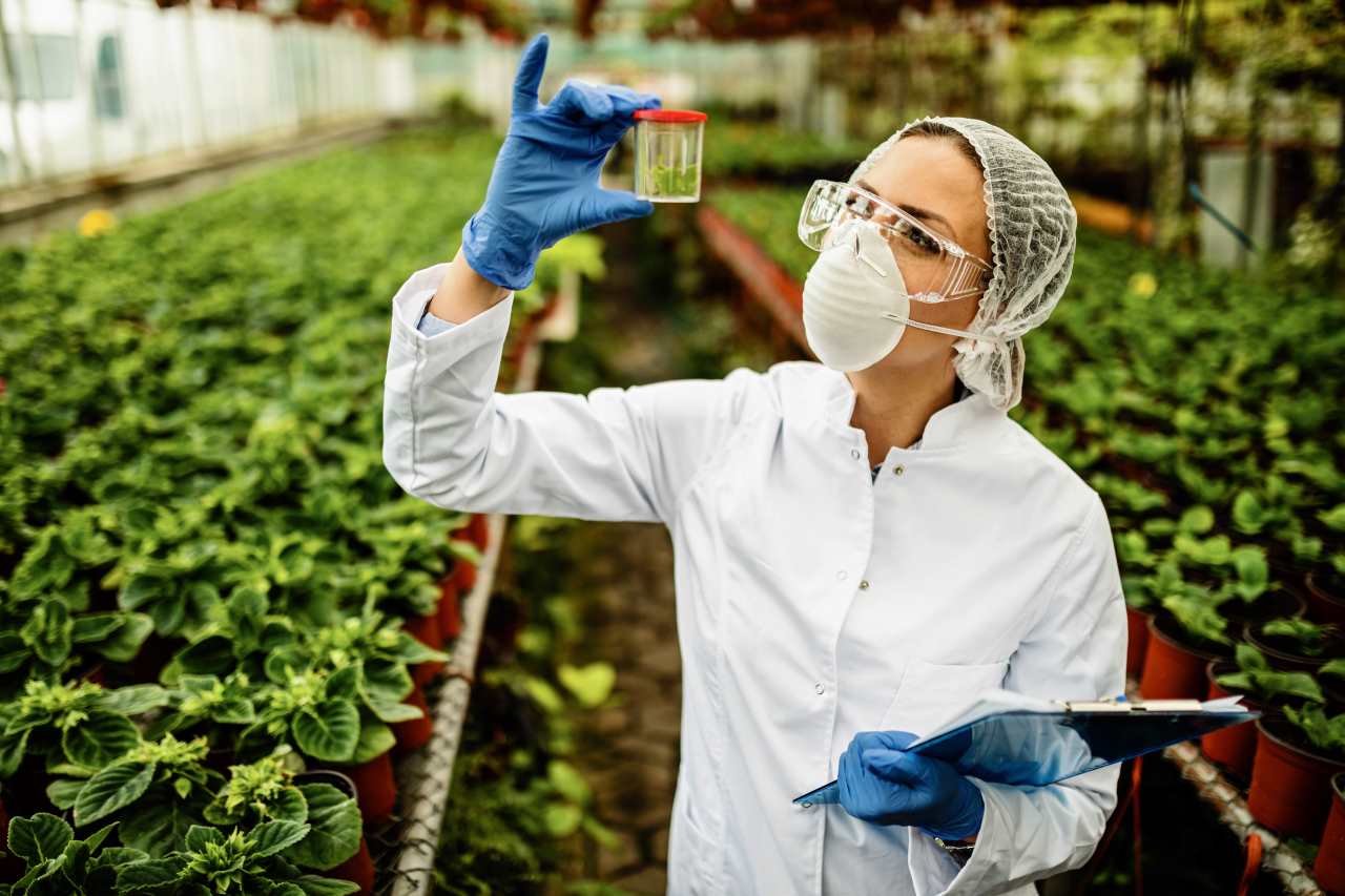 Industria y biotecnología: claves en el futuro de la alimentación