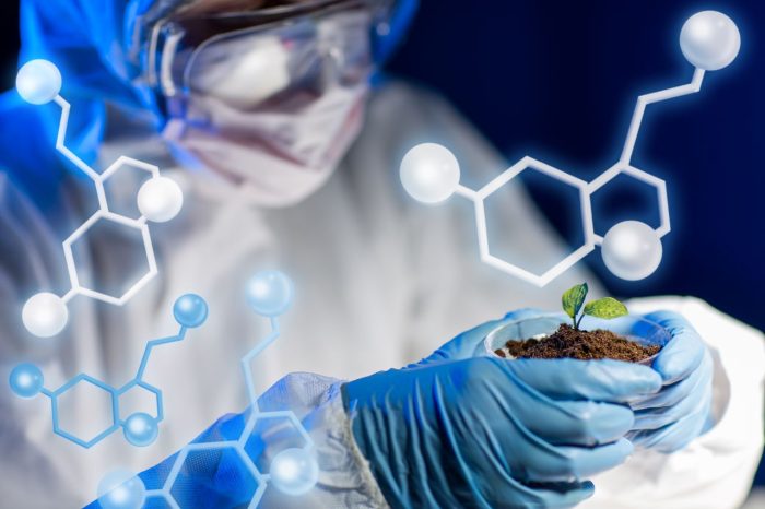 Usos de la Biotecnología en la industria alimentaria