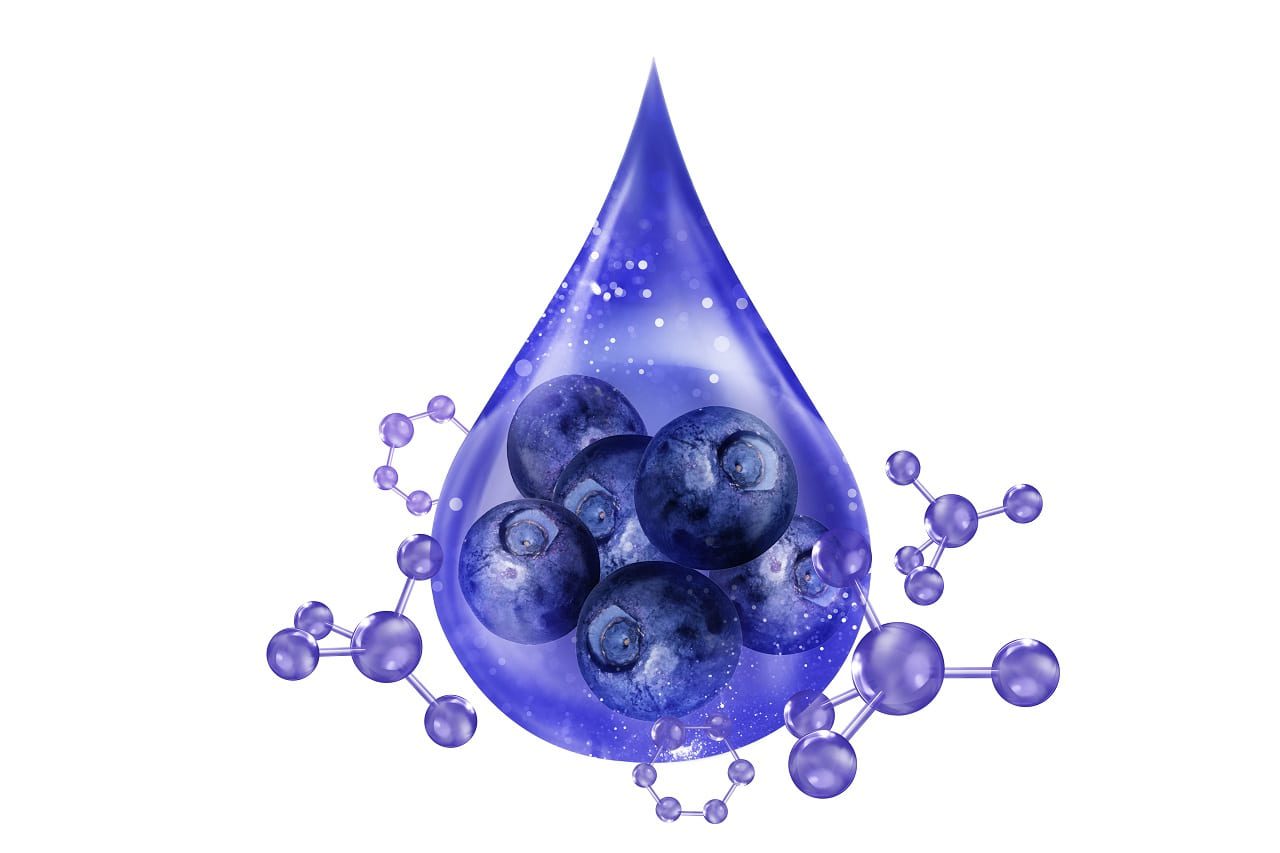 Desarrollan un ingrediente funcional a base de fermentación para alimentos