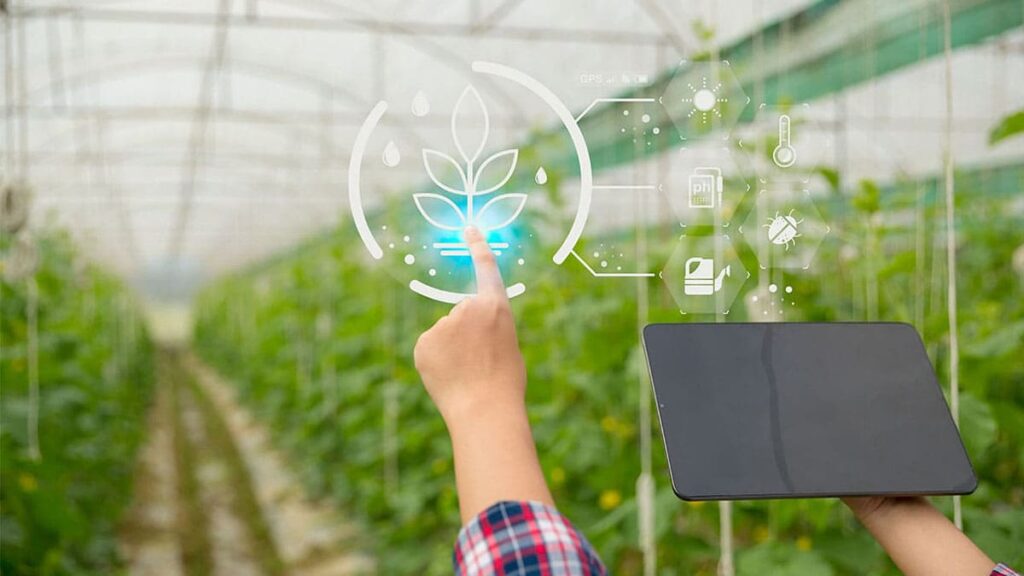 La inteligencia artificial también se ha hecho presente en la agronomía creando soluciones para mejores culttivos. Foto: Freepik.