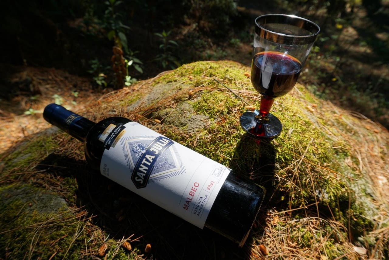 Tendencias y experiencias: consumo de vino al aire libre