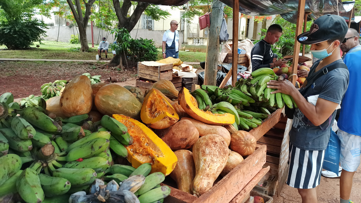 Cuba vuelve a prorrogar la importación no comercial de básicos sin aranceles