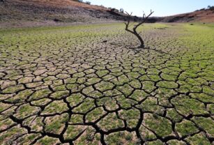 Banco Mundial pide a los países redireccionar subsidios para afrontar la crisis climática