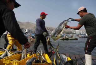 Las expectativas sobre la economía de Perú auguran varios años difíciles
