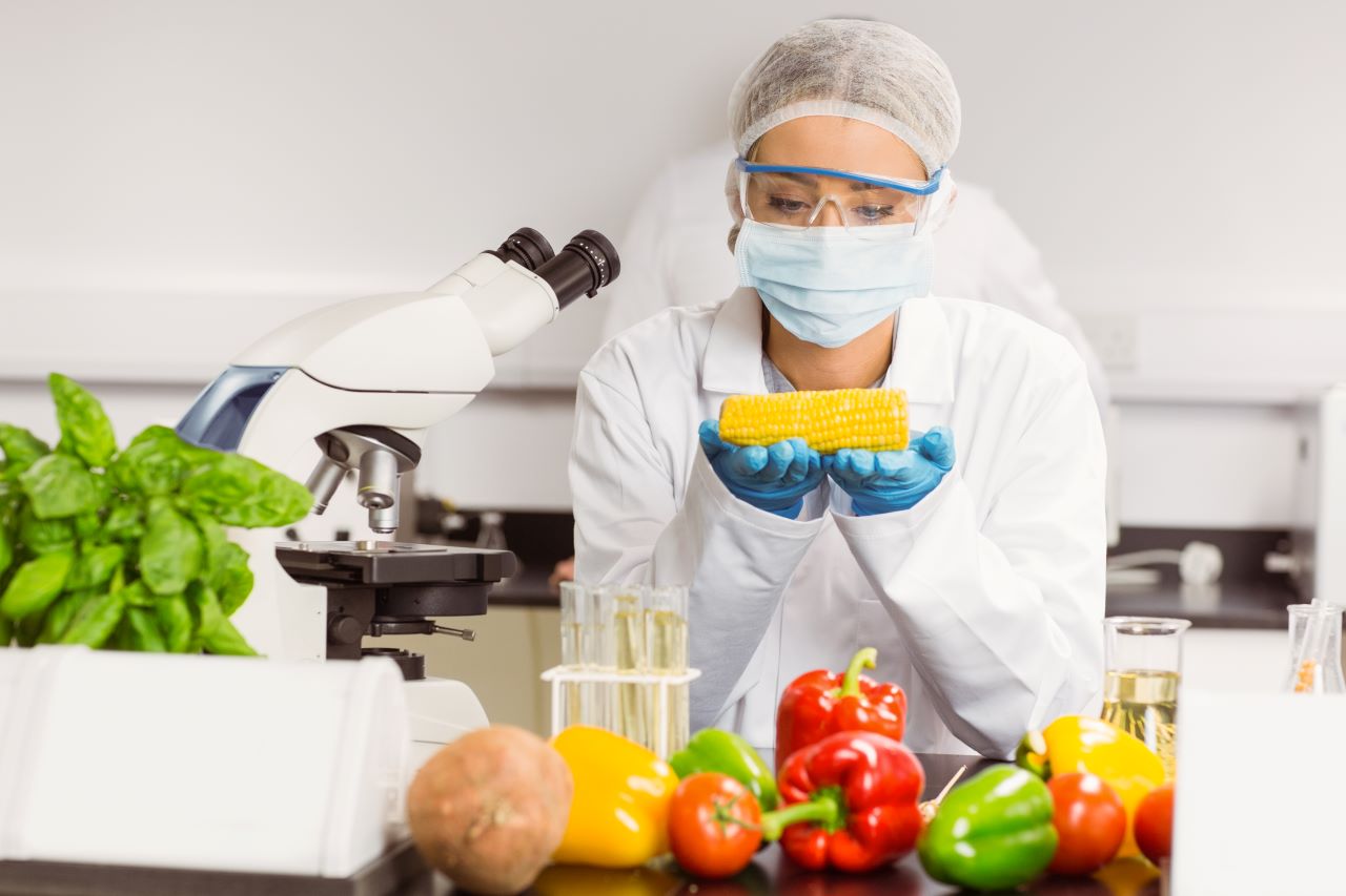 Alimentos transgénicos, desmitificando los riesgos de alergias y toxicidad