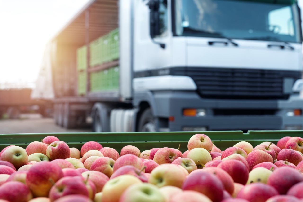 La actividad económica del transporte de alimentos en América Latina