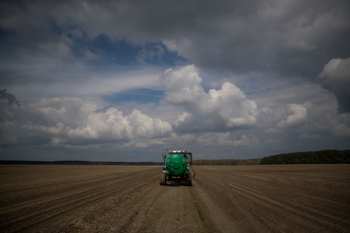 Un estudio analiza el impacto de guerra de Ucrania en el suministro global de alimentos