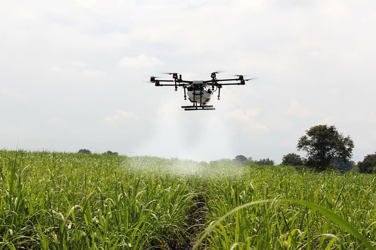 Agricultura, Un Sector Que Crecerá Sus Inversiones En IA