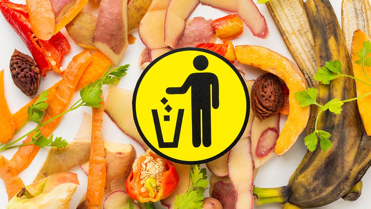 El cubo de basura inteligente que evita el desperdicio de comida